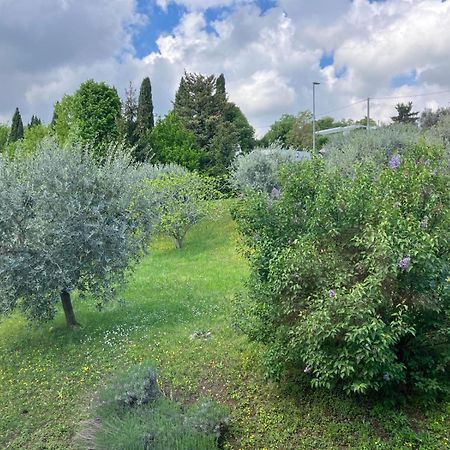 Happy Guest Apartments - Lake View And Pool Riva di Solto Eksteriør bilde
