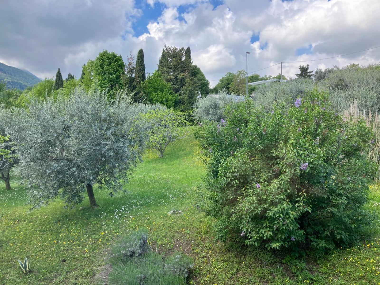 Happy Guest Apartments - Lake View And Pool Riva di Solto Eksteriør bilde